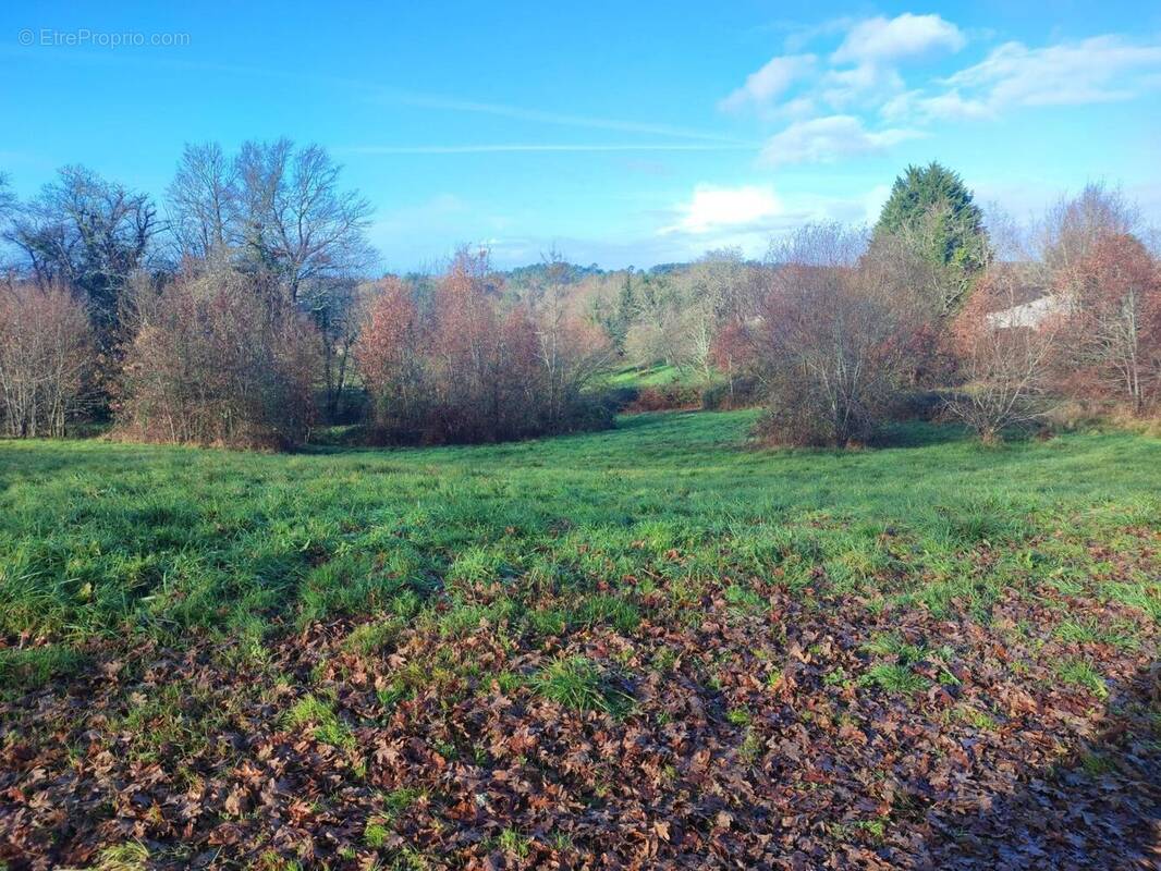 Photo 1 - Terrain à CAMPSEGRET