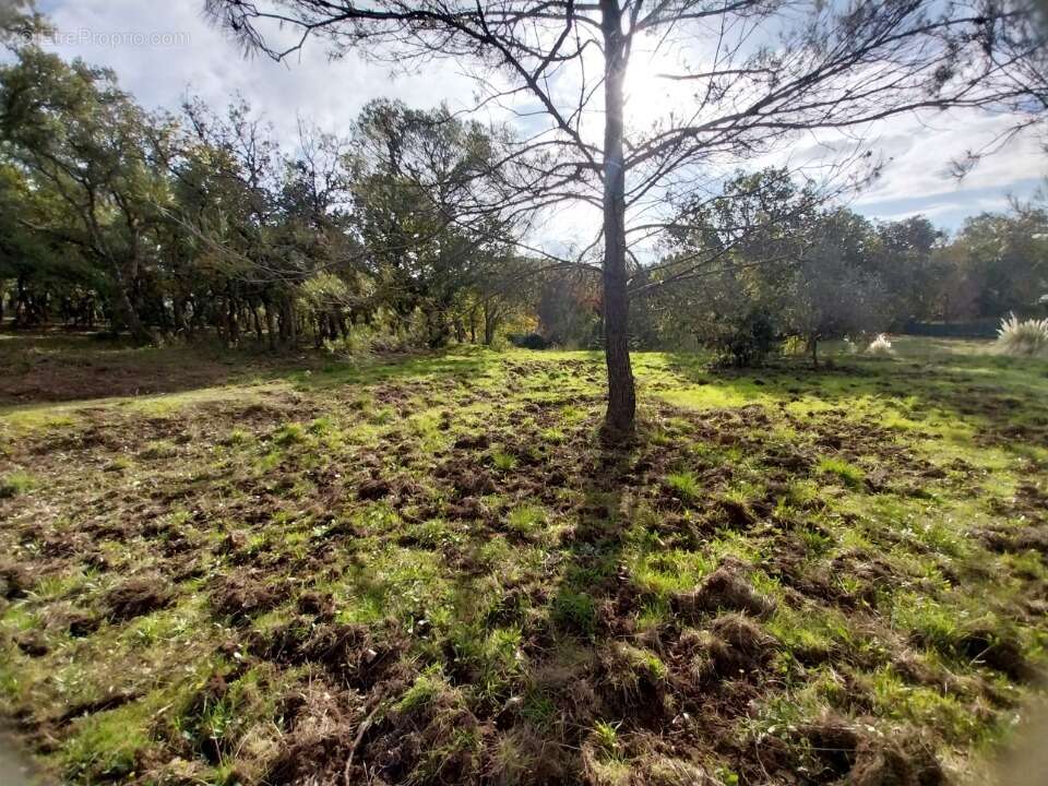 Terrain à SAINT-RAPHAEL