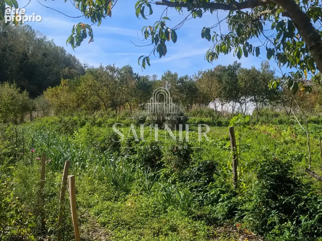 Entre Montrichard et Blois, petit domaine agricole. - photo 3