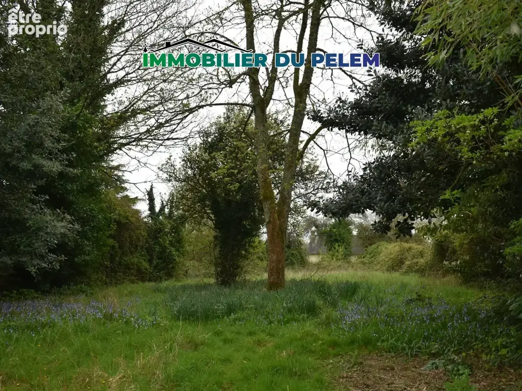 Petite Maison avec Jardin en plein Coeur de Ville - photo 3