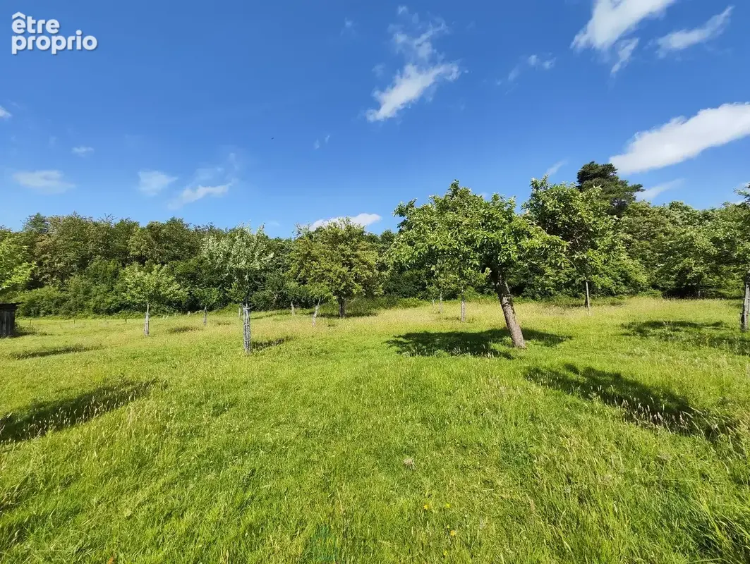 A proximité de Broglie, ensemble sur plus de 4ha, maisonnette, dépendances et bois de 3ha - photo 21