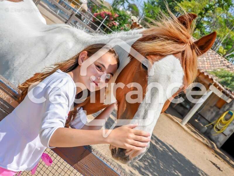 Commerce à LE GRAU-DU-ROI