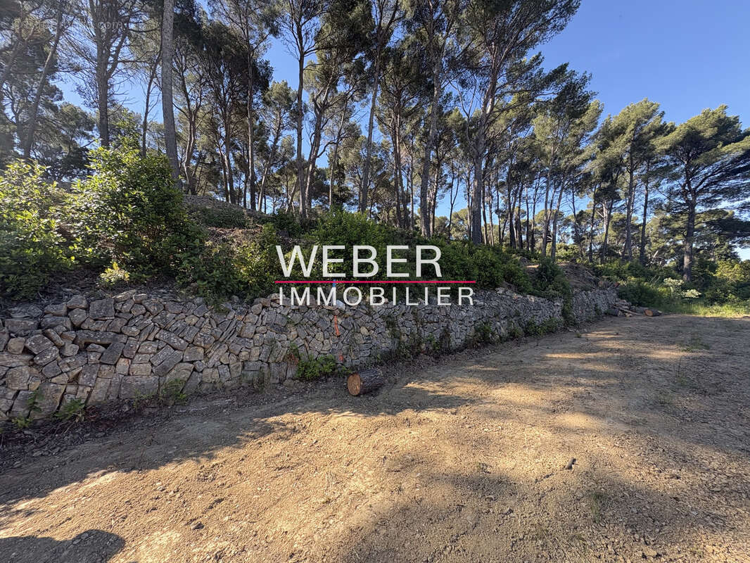 Ollioules - terrain a batir 6400 m2- vue degagee - photo 6