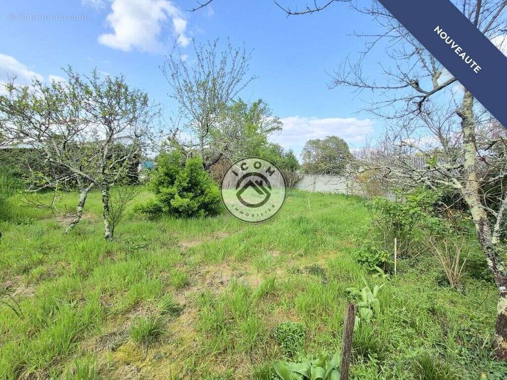 Maison à MONT-DE-MARSAN