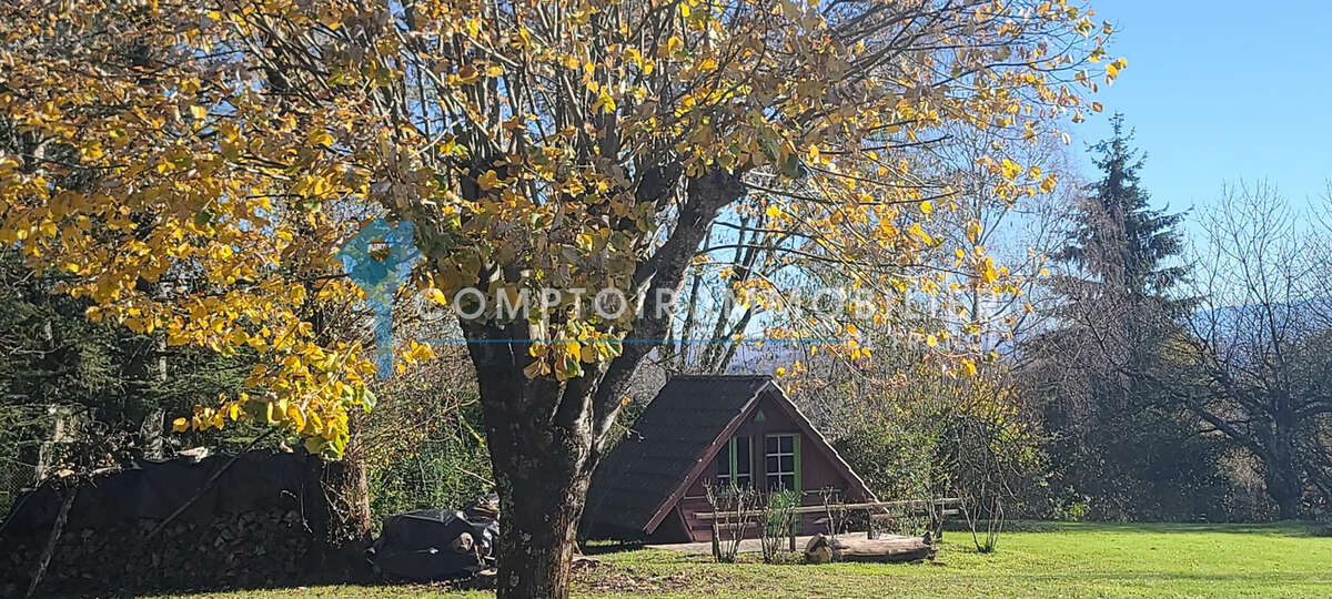 Dpt Haute-Garonne 31 - A vendre Ganties 31- Maison de ville T7 de 368 m2 sur terrain de 4490 m2 avec piscine e - photo 16