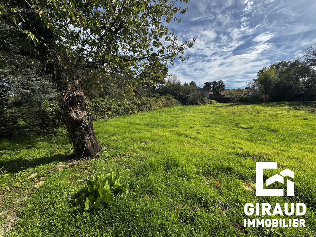 Terrain à FONTENAY-LE-COMTE