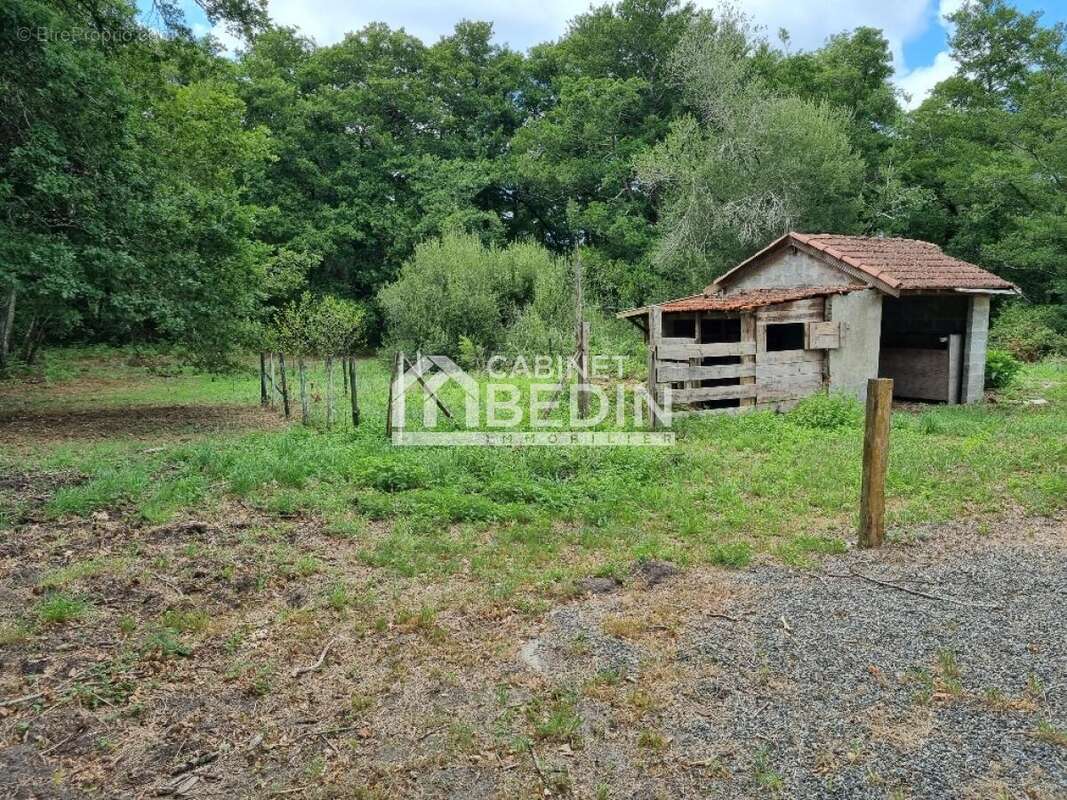 Maison à SAINT-PAUL-EN-BORN