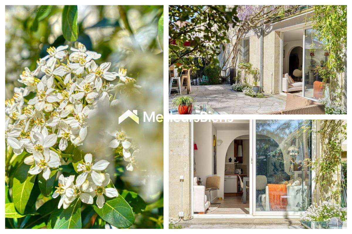 Maison à LA CELLE-SAINT-CLOUD