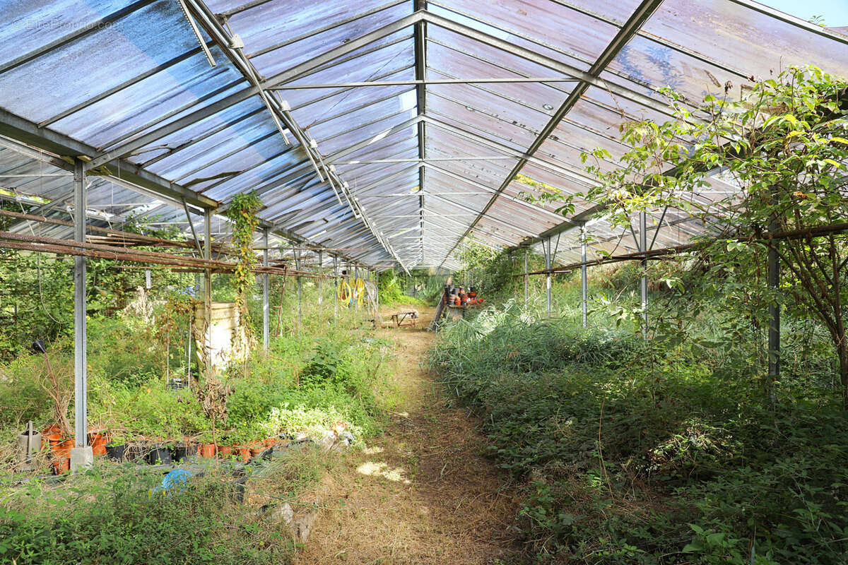 Terrain à SAINT-GEORGES-DE-DIDONNE