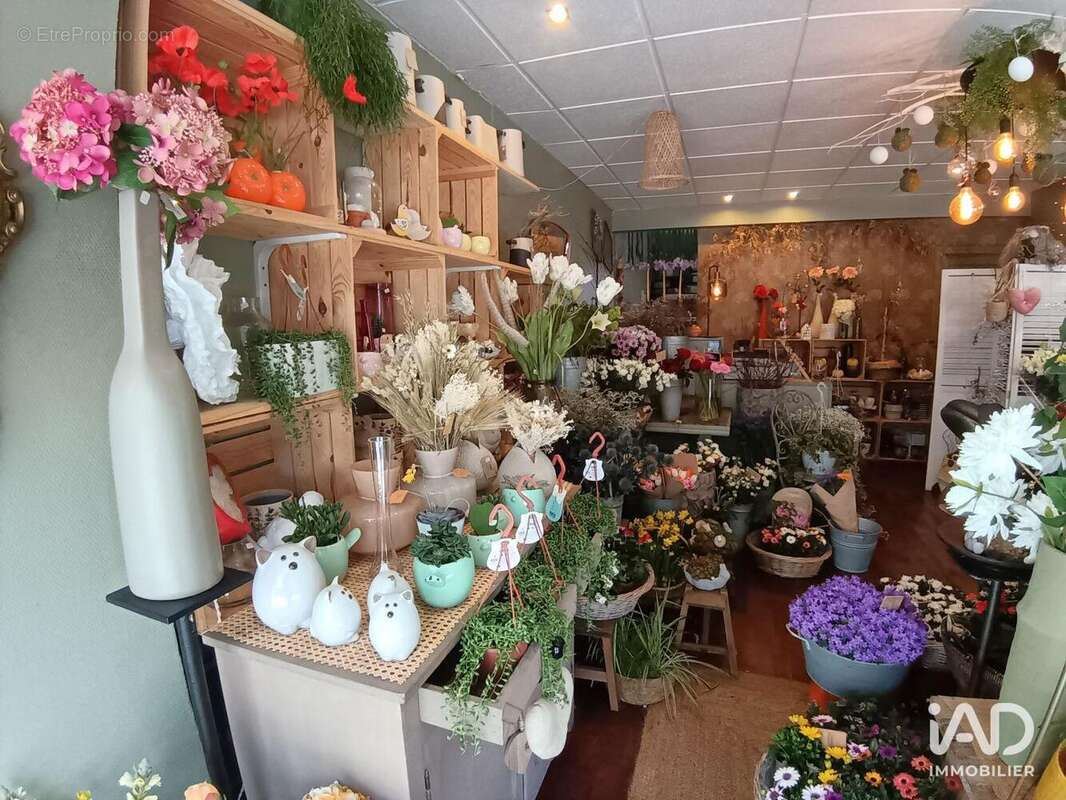 Photo 3 - Commerce à LORIENT