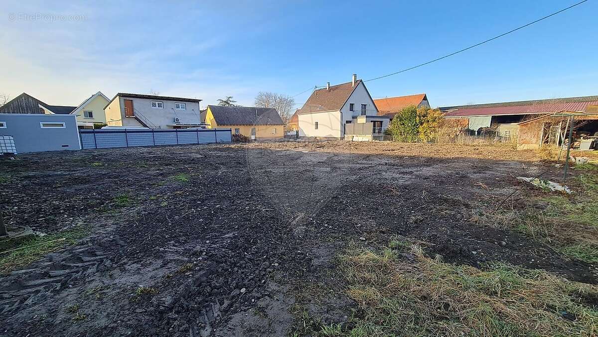 Terrain à OBERSAASHEIM