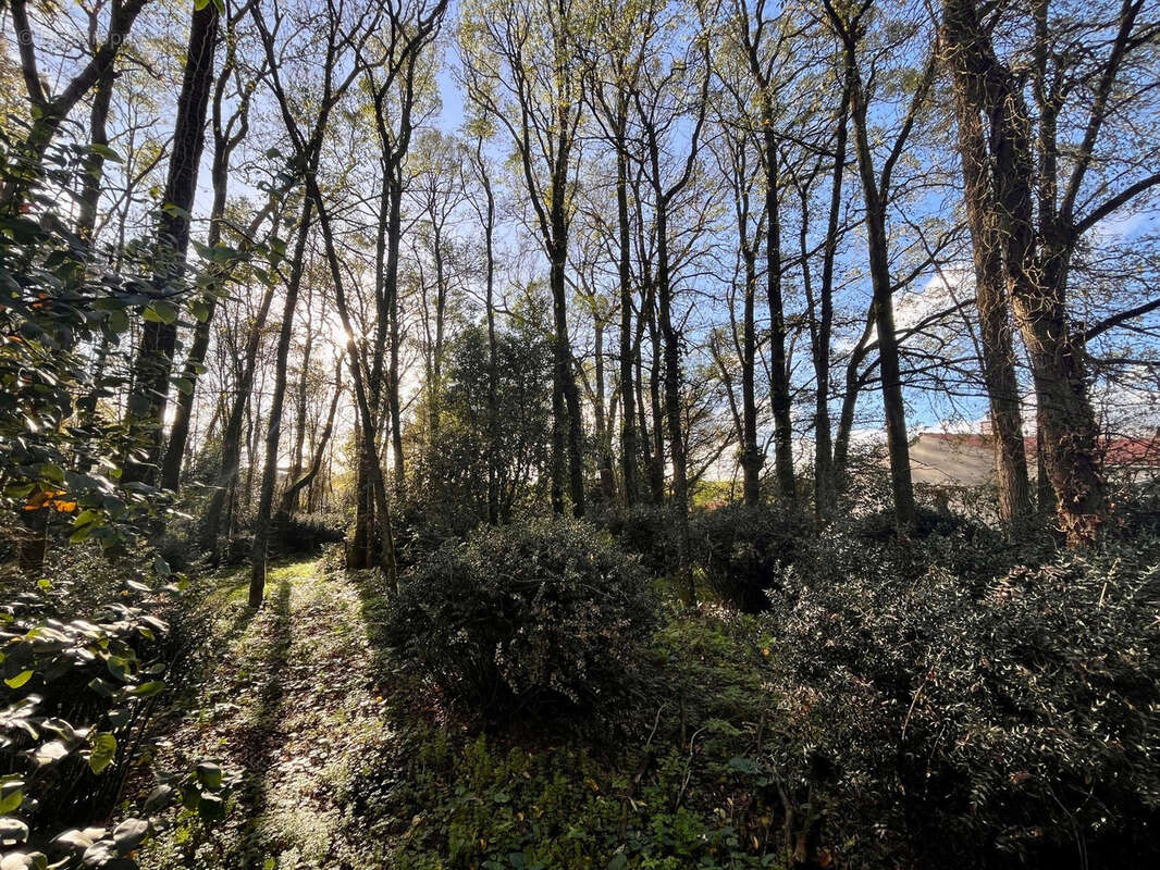 Maison à SAINT-JEAN-DE-BOISEAU