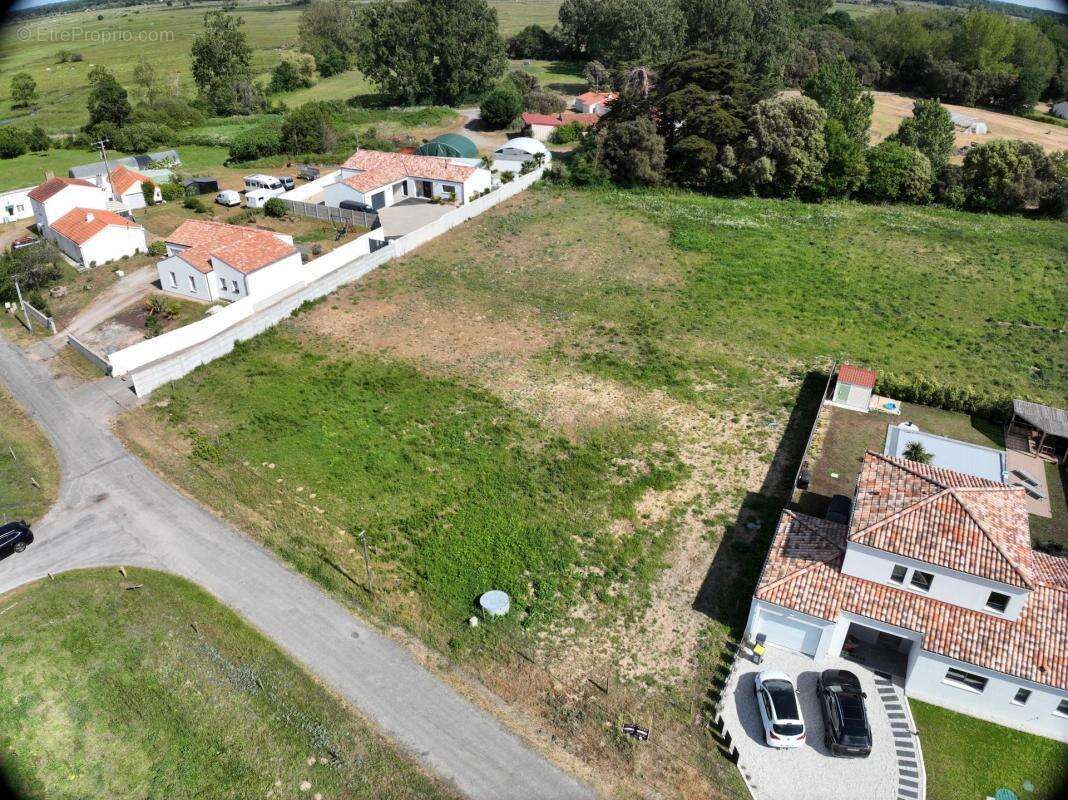 Terrain à SAINT-HILAIRE-DE-RIEZ