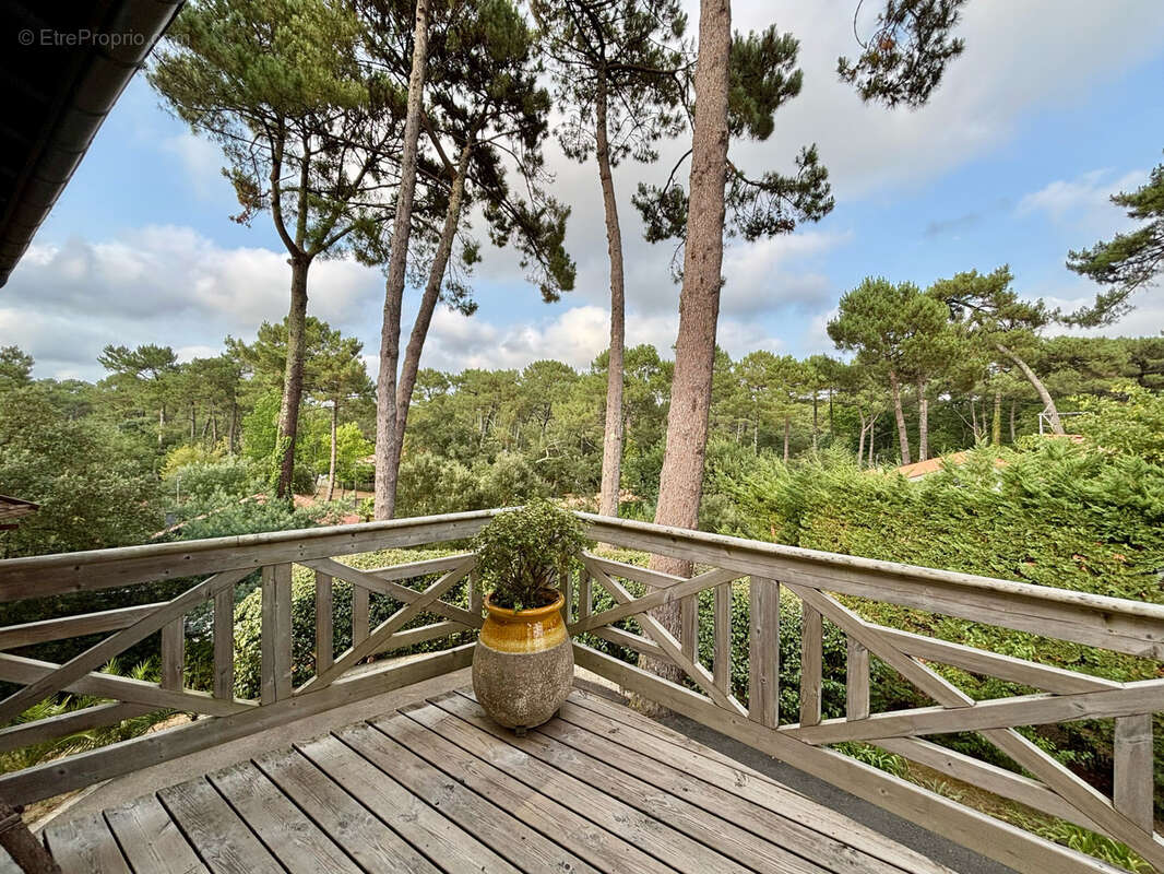 Villa d’architecte perchée dans les arbres avec piscine et vue panoramique - photo 3