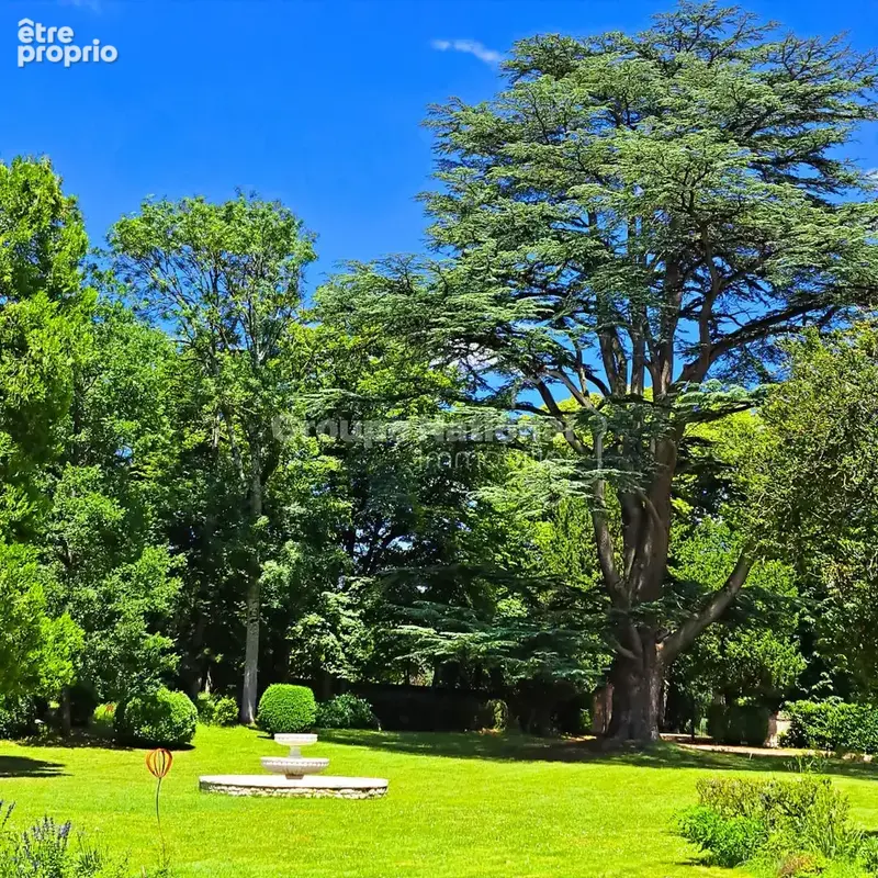 Propriété d'exception en touraine. château & parc de 4 hectares - photo 13