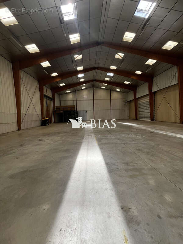 Commerce 400 m² à La Saussaye  - photo 2