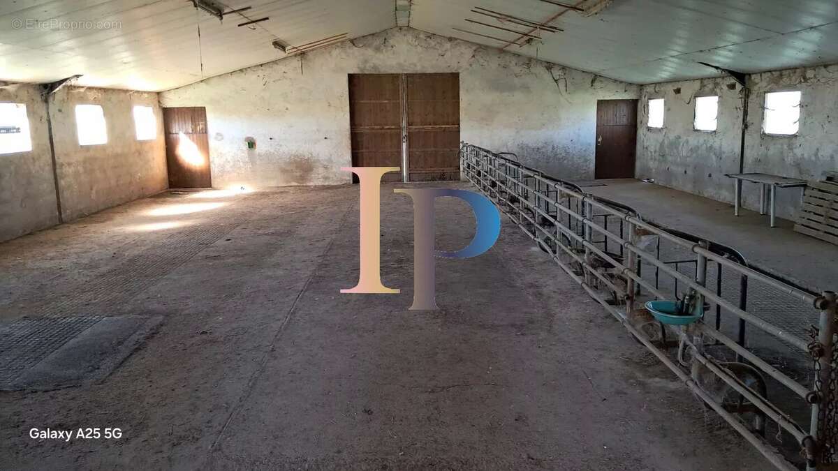 Maison à PARAY-LE-MONIAL