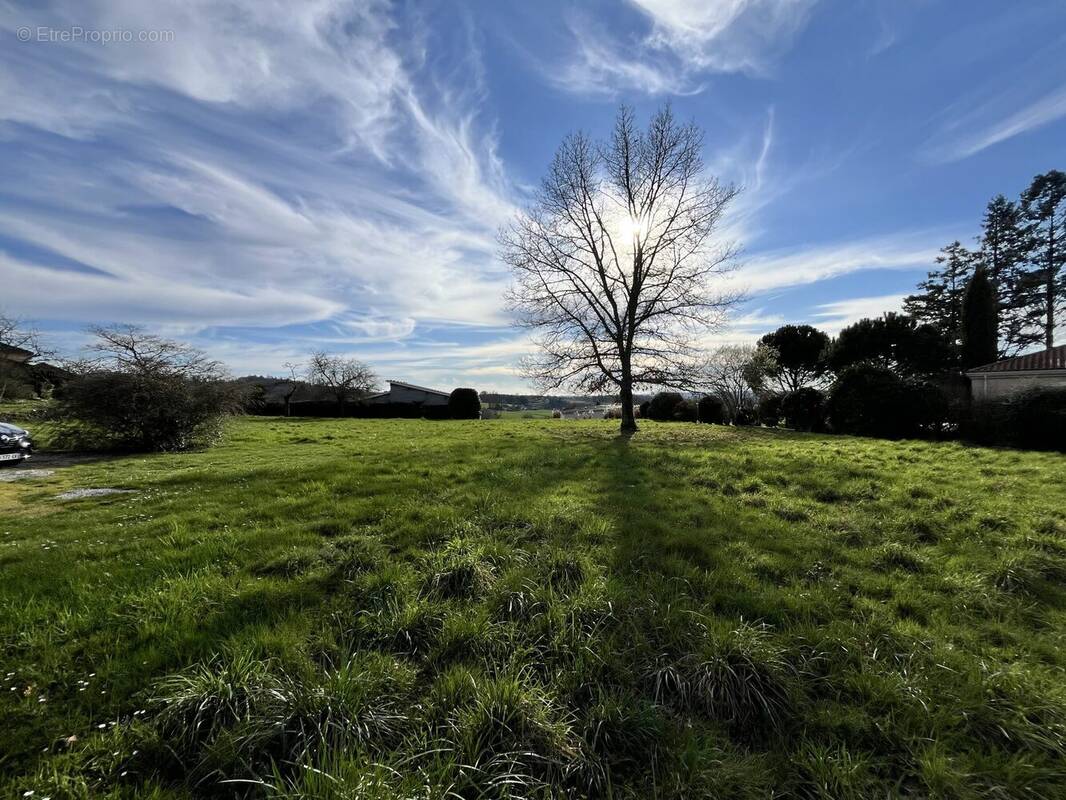 Terrain à VERNEUIL-SUR-VIENNE