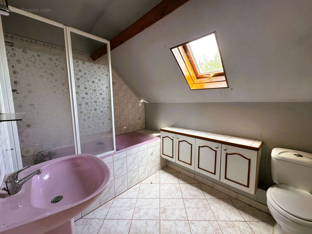 Proche voves - photo 12