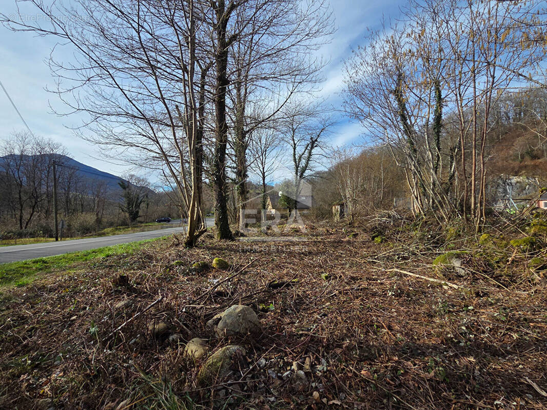Terrain à PEYROUSE
