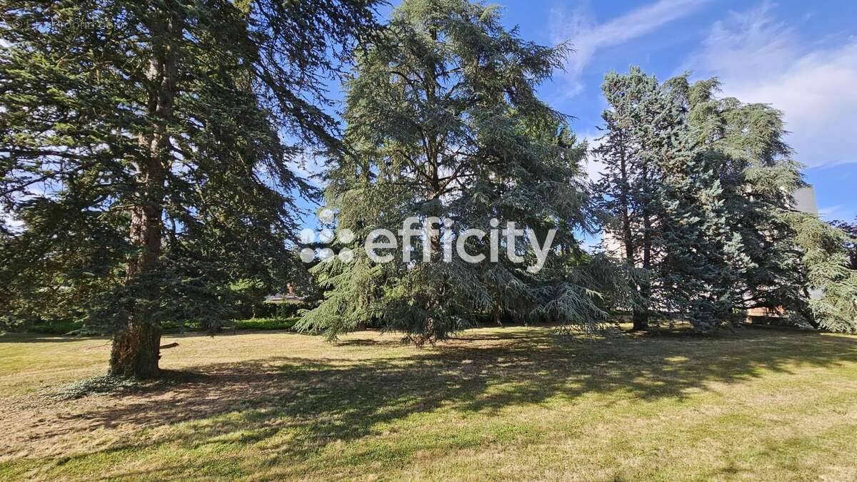 Appartement à LIMAS