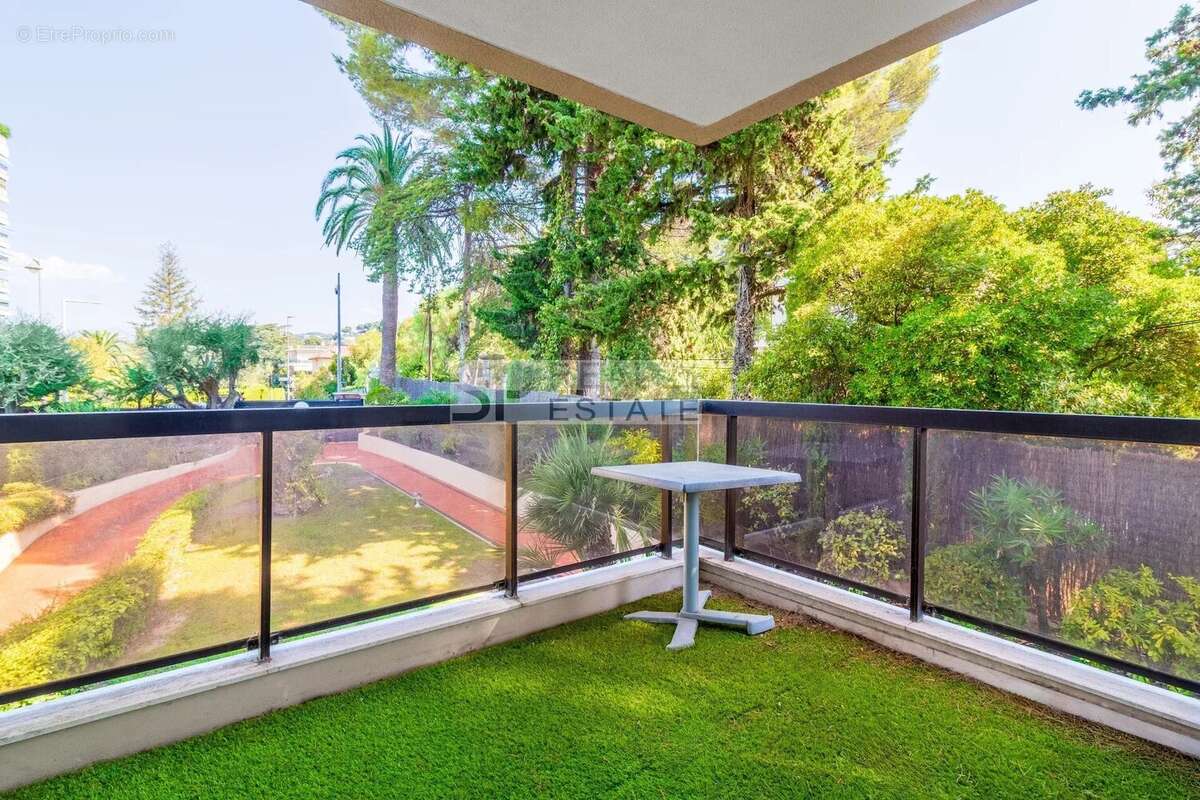 Cannes – basse californie - photo 12