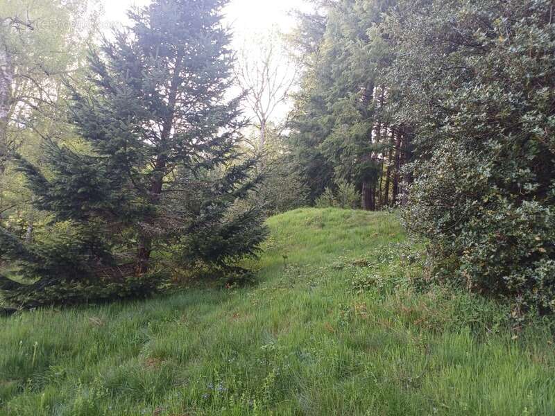 Maison à VOLLORE-VILLE