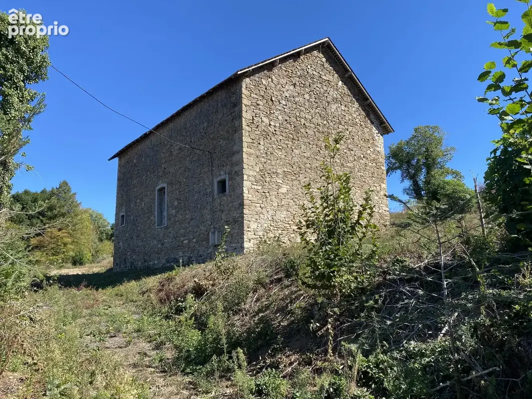Terrain 13 287 m² à vendre à Neuvic-Entier (87130) - photo 3