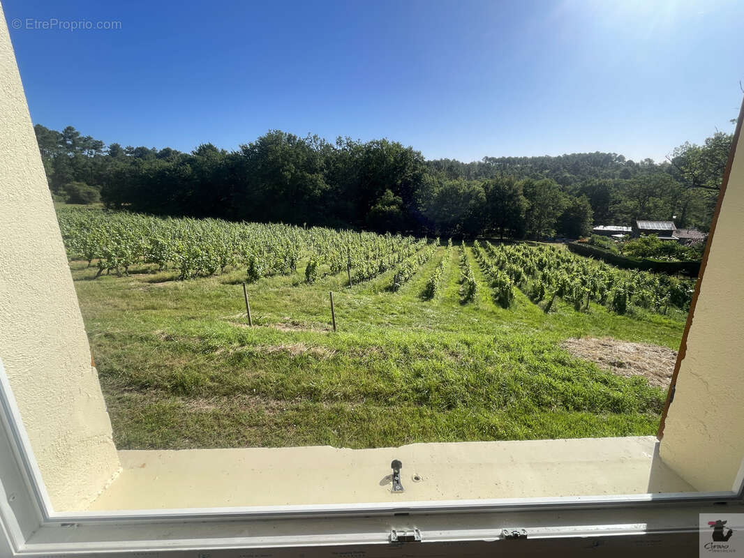 Maison LEMBRAS, 125m2 avec grands garages - Vue verdoyante - Calme absolu - photo 3