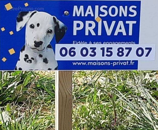 Terrain à DOMPIERRE-SUR-YON