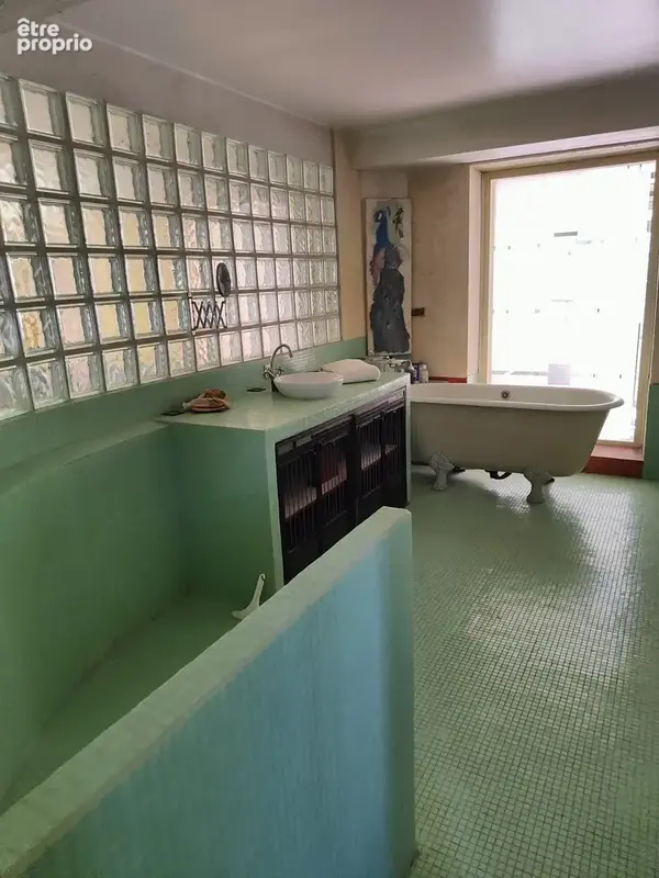 Maison 406 m² à Orbigny  - photo 6