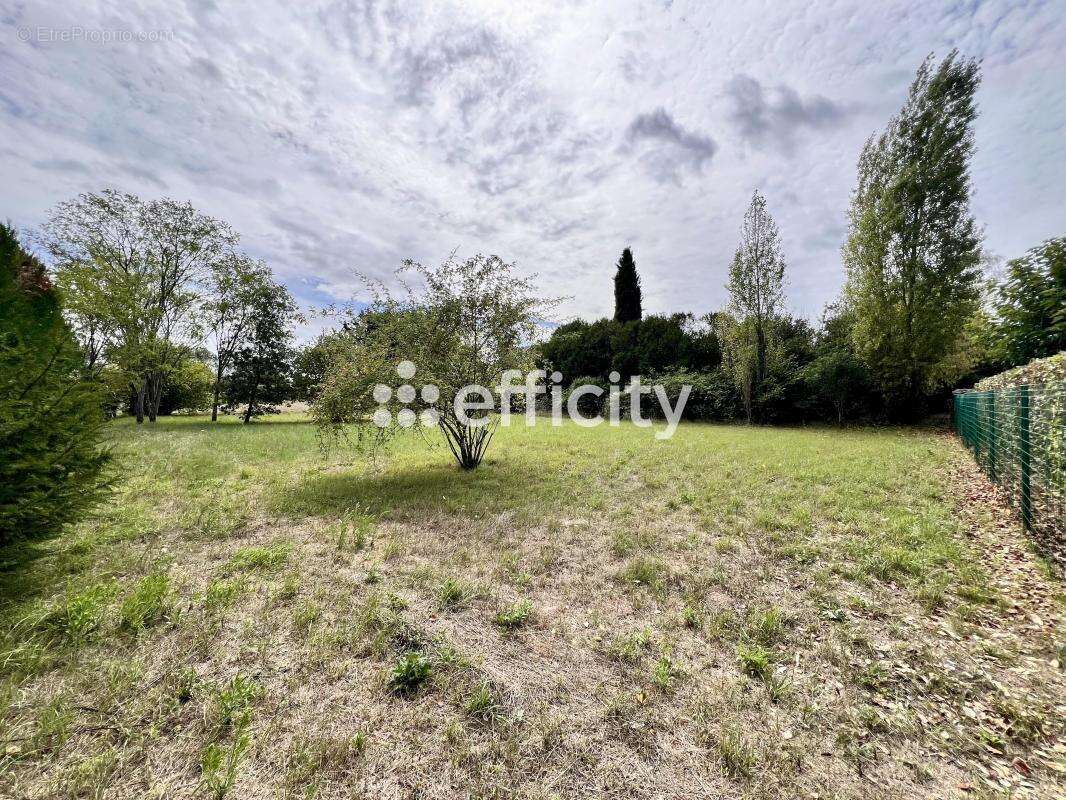 Terrain 1641 m² à Chinon  - photo 3