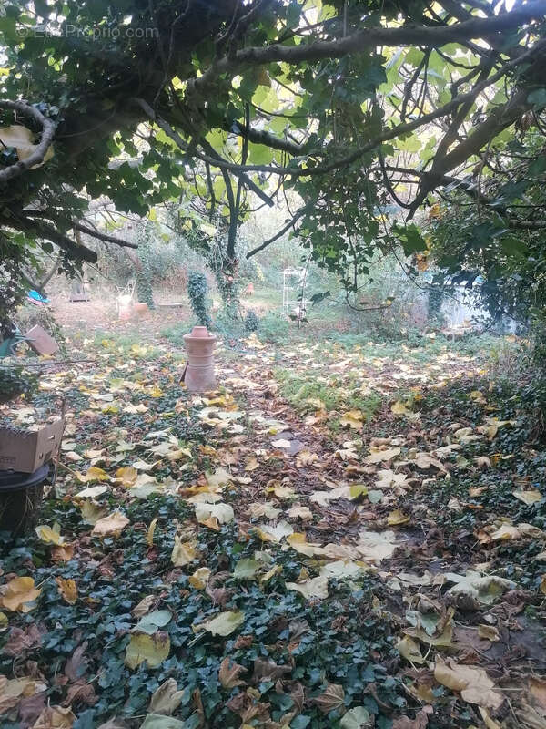 Maison à VILLEMAGNE