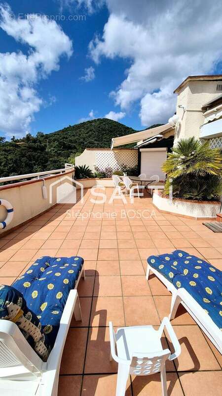 Photo 9 - Appartement à AJACCIO