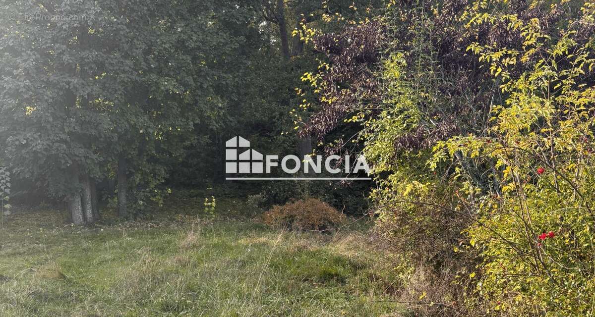 Terrain à VILLENNES-SUR-SEINE