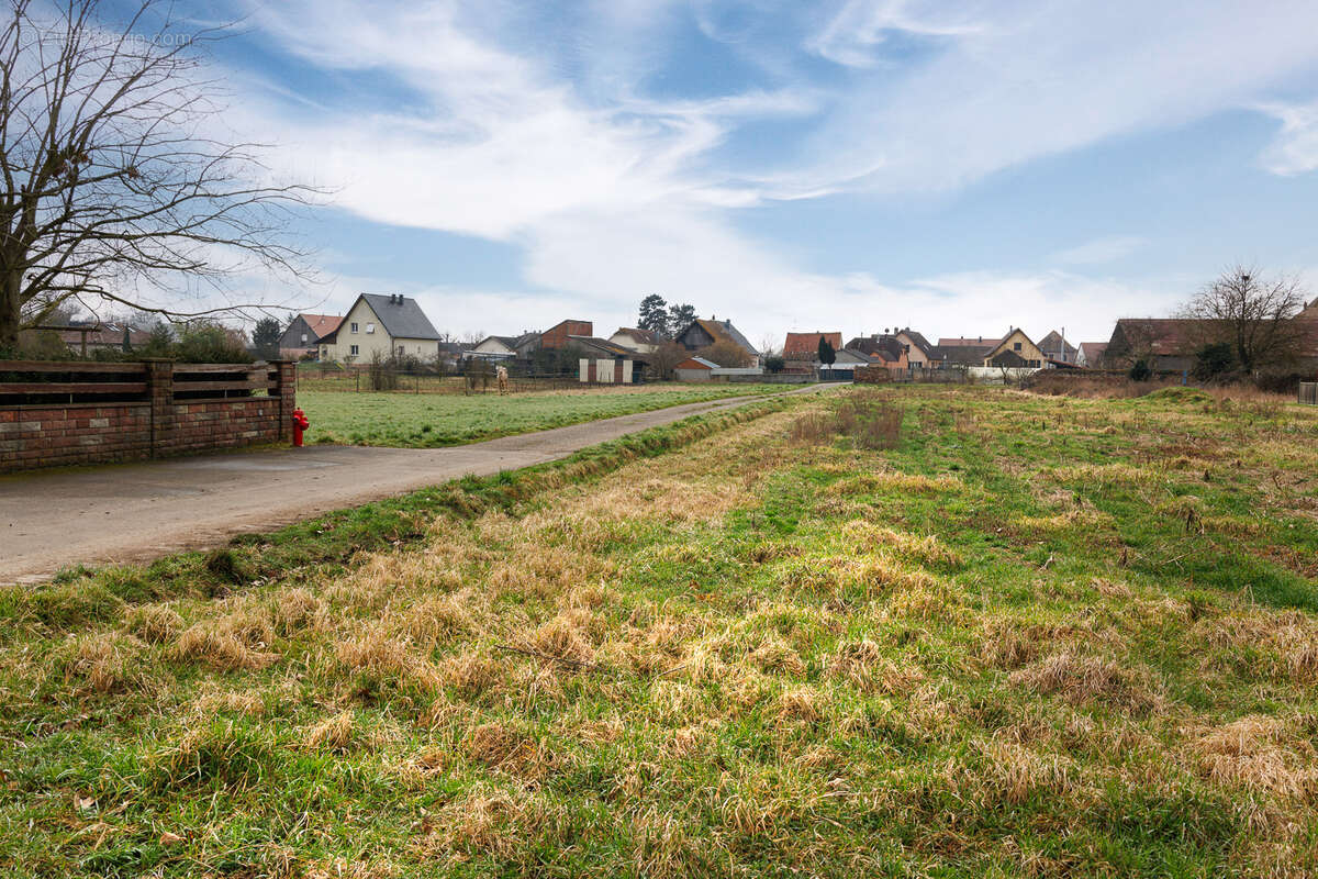 Terrain à NIEDERHERGHEIM