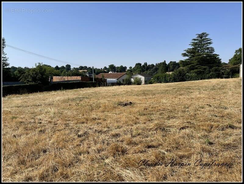 Terrain à VERRUYES