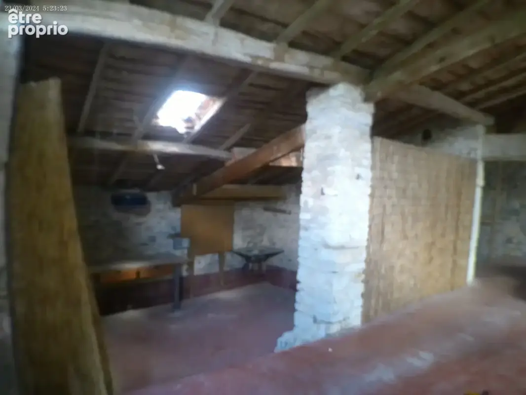 COGNAC - A Vendre Maison de Caractère SAINT BRICE - photo 61