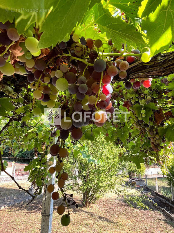 Aubin - proche centre: au calme + commerces services ecoles a pied! - photo 14