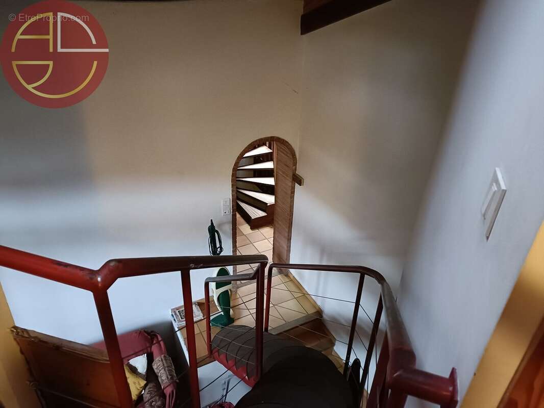 Maison 206 m² à Toulouse  - photo 4