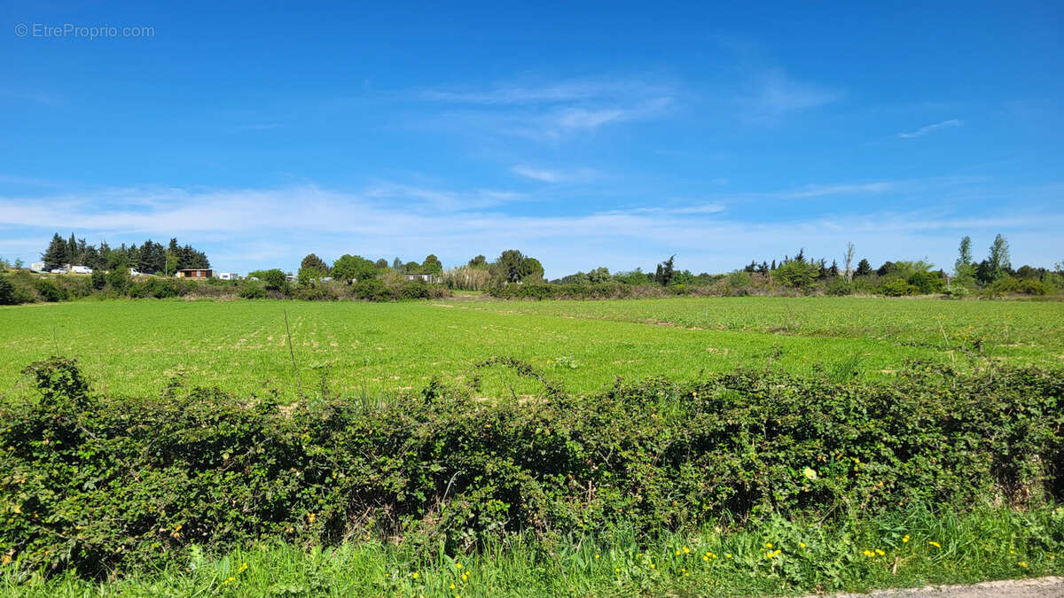 Terrain à PIGNAN