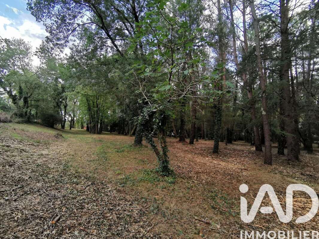 Photo 2 - Terrain à CENNE-MONESTIES