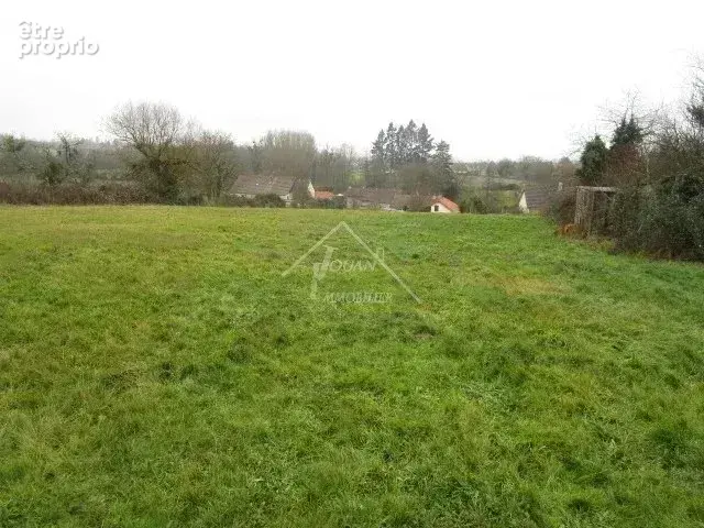 Terrain constructible de 2 713 m² à Varennes-sur-Allier - photo 2