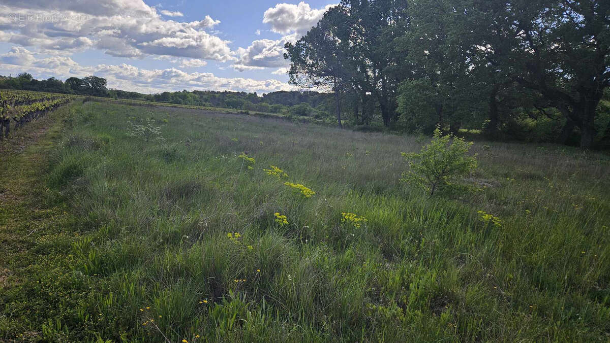Terrain à GALARGUES