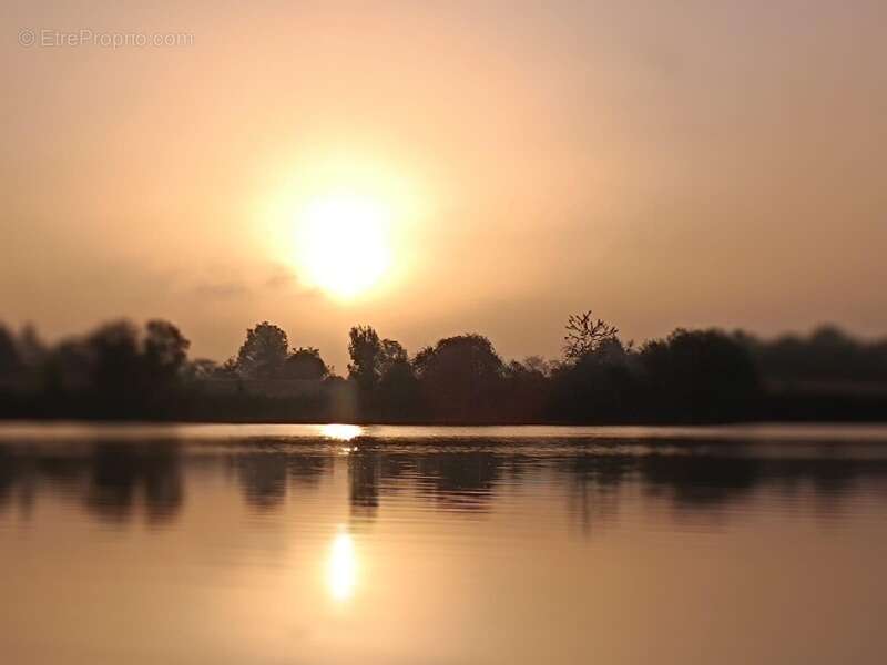 Opportunité d'affaires exceptionnelle : domaine de 24 hectares comprenant 15 hectares d'étangs, parfait pour divers projets tour - photo 8