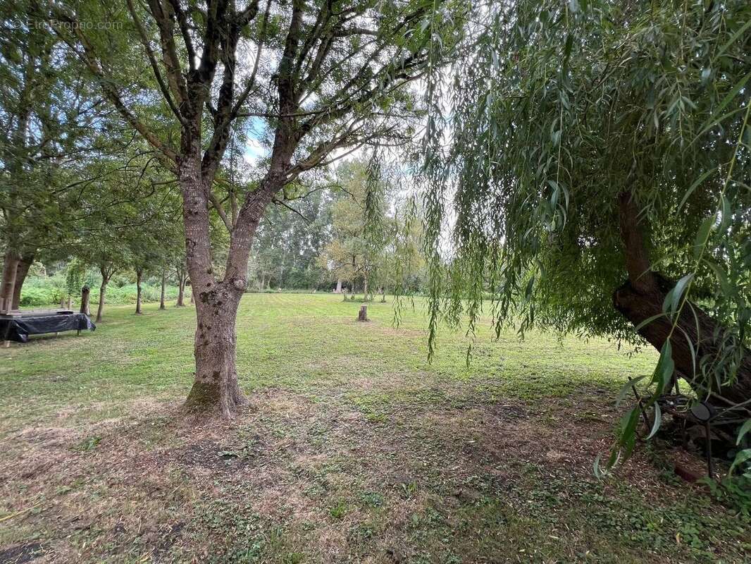 Terrain à LE VANNEAU-IRLEAU