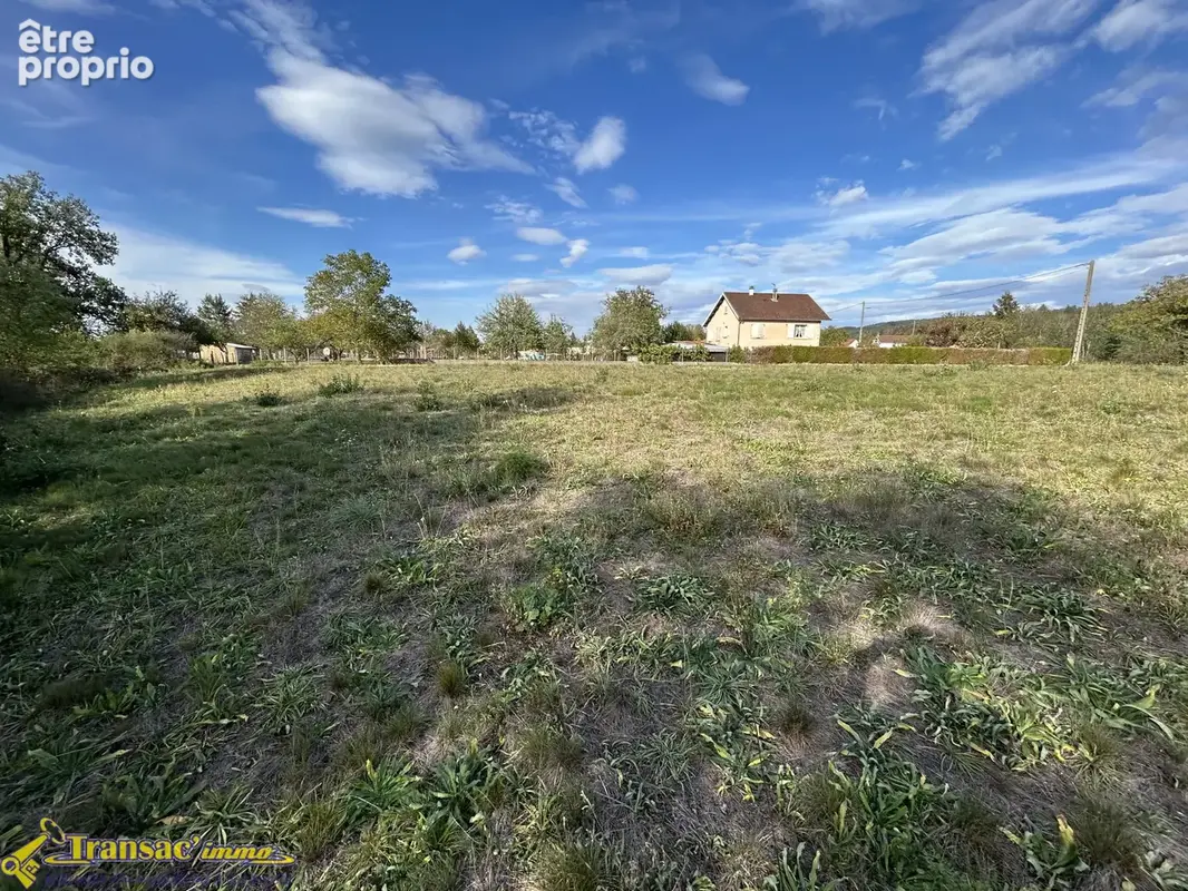 Terrain 5000m2 dont 1750m2 en zone constructible - photo 4