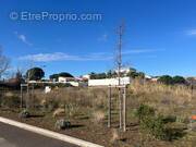 Terrain à SAINT-THIBERY