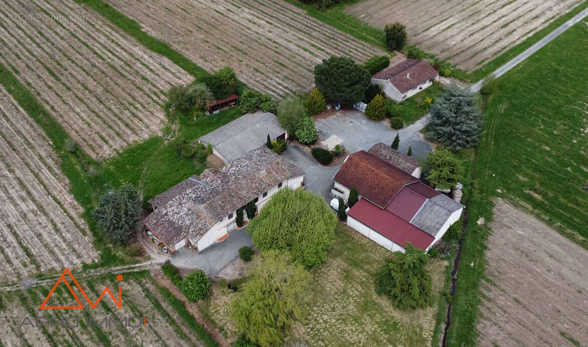 Maison à LISLE-SUR-TARN