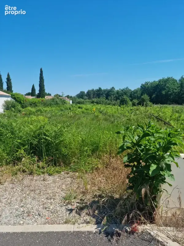 Terrain 762 m² à vendre à Carcans (33121) - photo 3